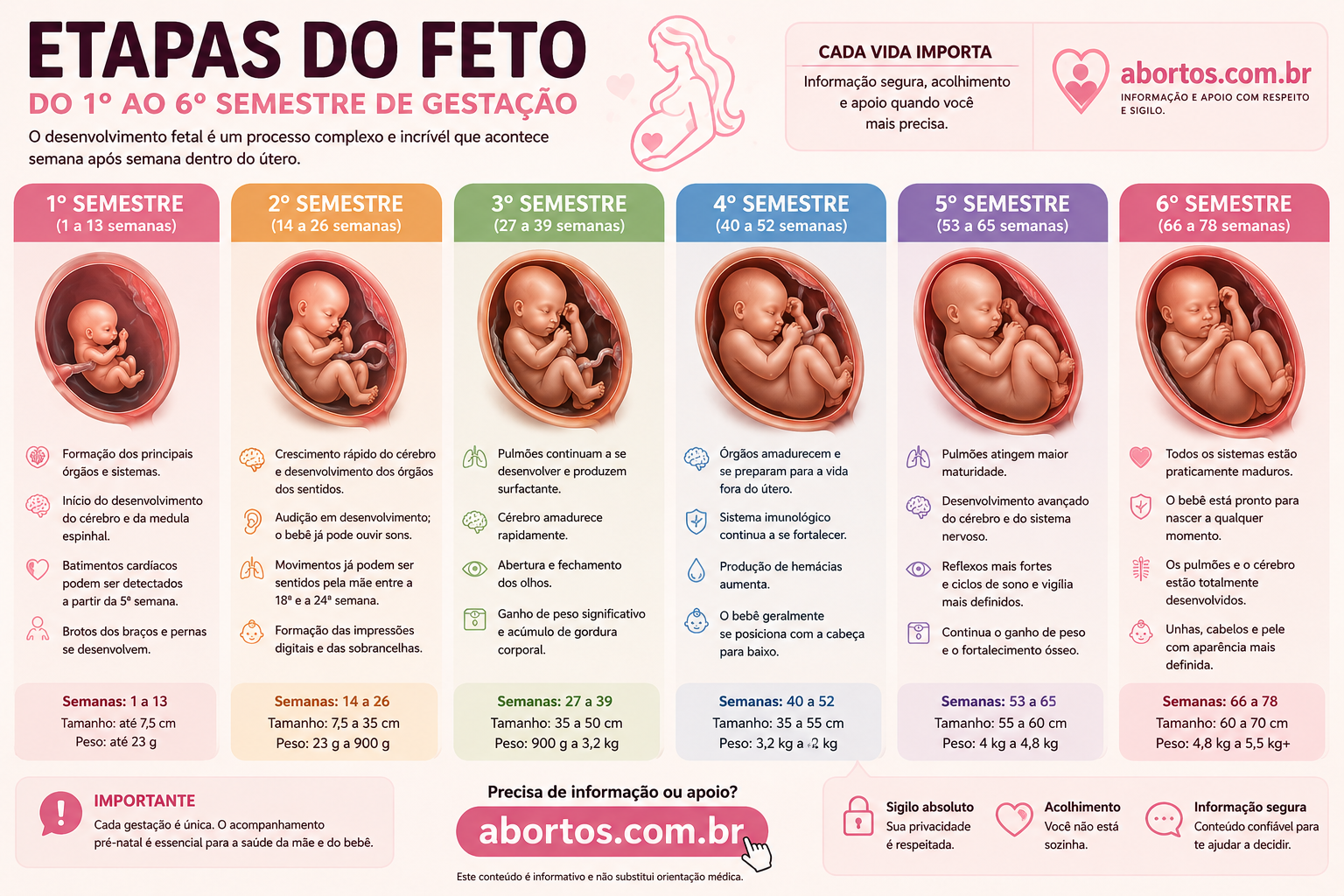 Etapas do Feto: Desenvolvimento do Bebê Semana a Semana