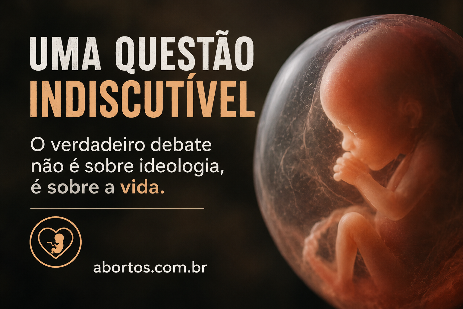 Uma Questão Indiscutível: O Debate Sobre o Aborto e o Valor da Vida