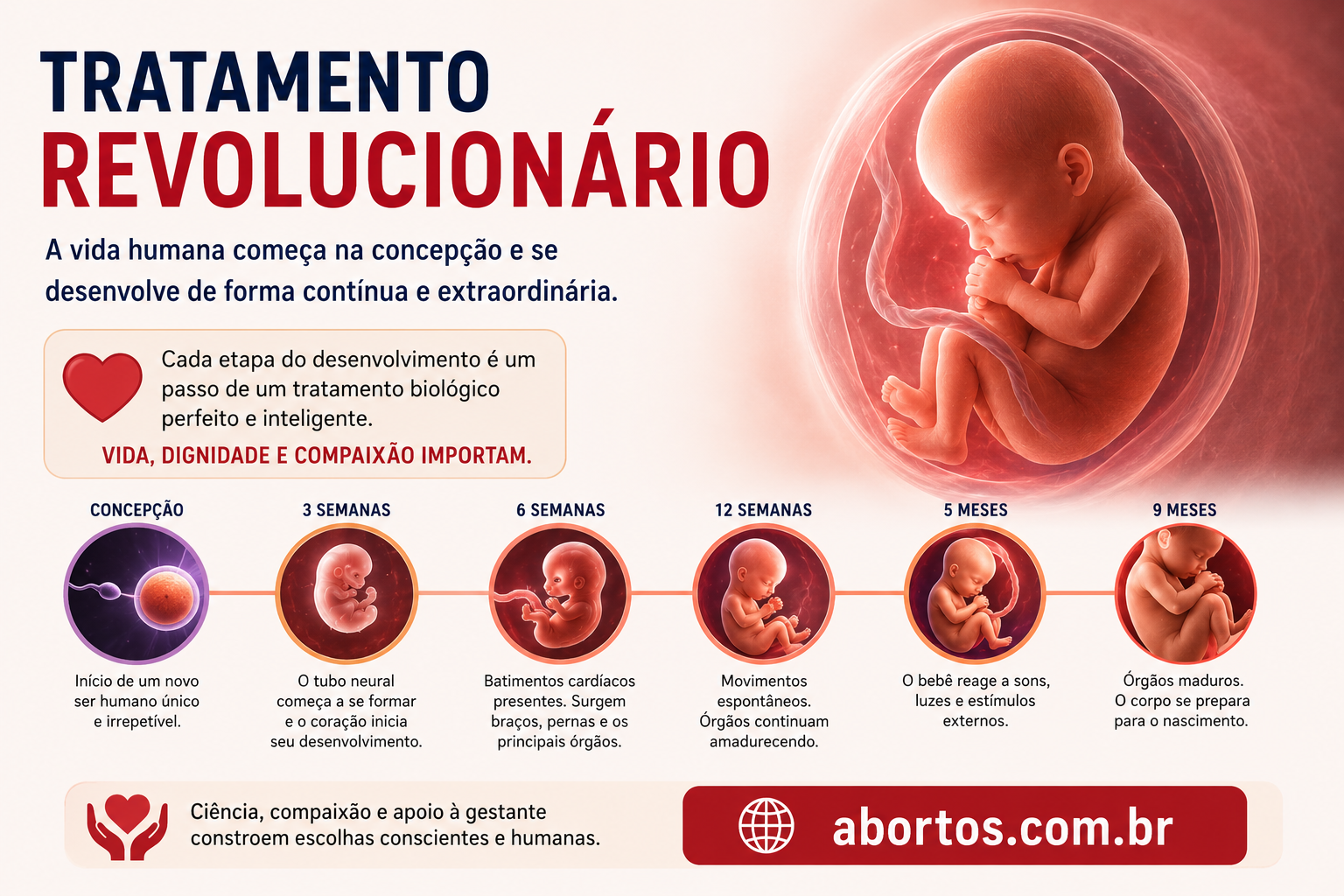 Tratamento Revolucionário: O Desenvolvimento do Bebê no Útero e os Debates Atuais