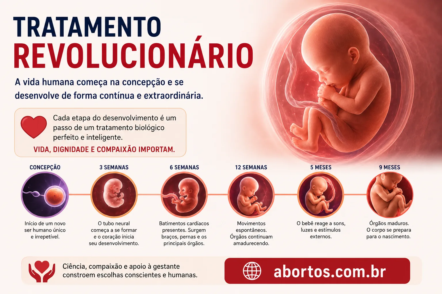 Tratamento Revolucionário: O Desenvolvimento do Bebê no Útero e os Debates Atuais